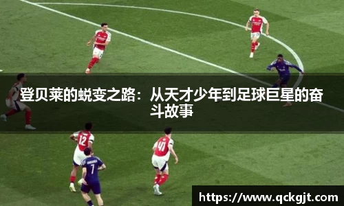完美体育