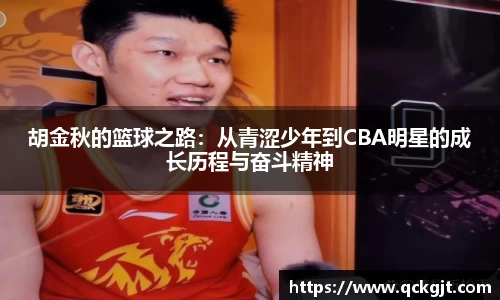完美体育登录入口
