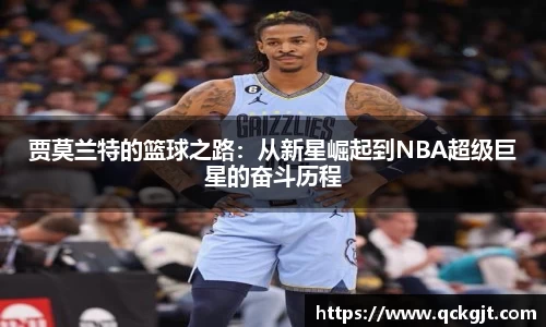 完美体育登录入口